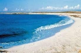 Beautiful Beaches - casefiorite